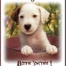 boubouledu59