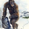heureuxyeti