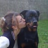 Shana10