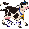 cricri66250