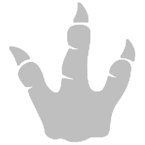 Basic