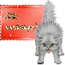 chaton80
