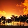 33julien33