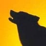 bwolf7