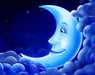 LUNE6913