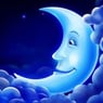 LUNE6913