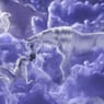 licorne0635