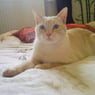 nanou73