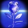 bleu38