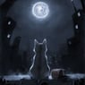 chatons84
