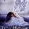 Ange4467