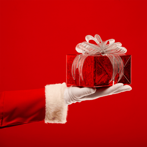 Offrez un cadeau de Noël spécial : un abonnement VIP pour un ami ! 🎁 image