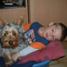 briberwill