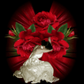poupette1205