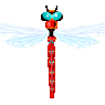 libellule28