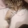 chloefraise