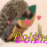 doln58
