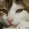 mumu562008