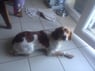 jacques01