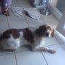 jacques01