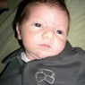 anelo
