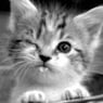 Leeloow
