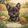 Skai19