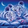 Sowana