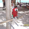 pascalounet