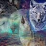 loup573