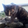 severine8649