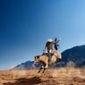 BILLYKID