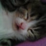 Agnes88