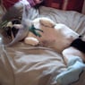 patoune5