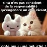 petiteclo