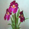 col91
