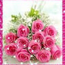 zaza29091968