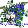 edwige080