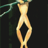 capricieuse