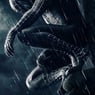 spider14490