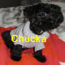 Chucka