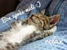 chantal2709