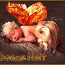 angel60110