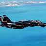 tomcat39