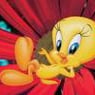 choupinette4