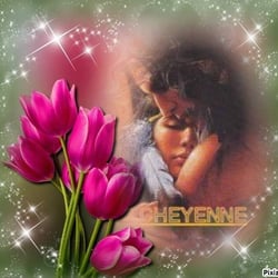 image of cheyenne06