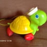 TORTUE31