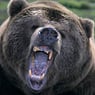 ours