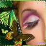 papillon6269