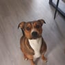 leslylenny